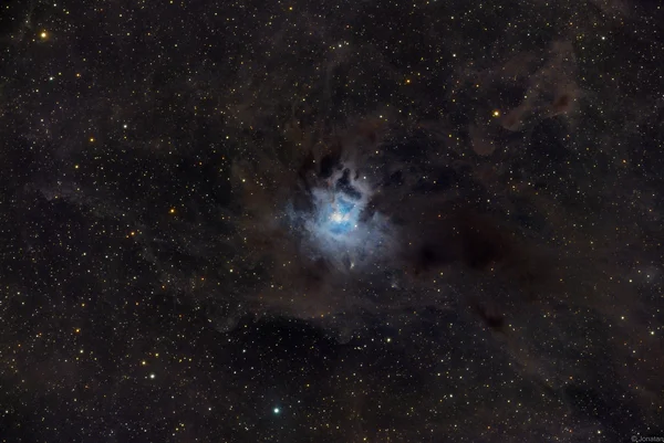 Kosatec — NGC 7023
