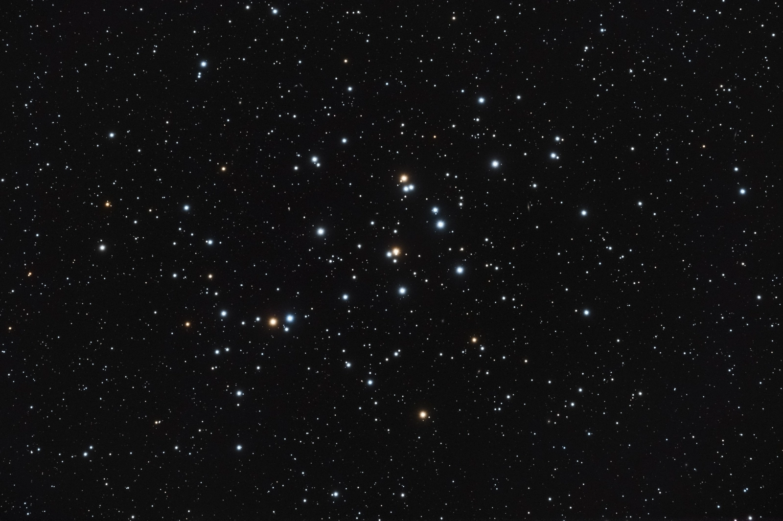 M44 Hvězdokupa Jesličky — M44, NGC 2632